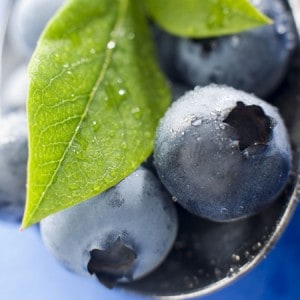Blueberry-Fruit-e-Liquid-Cloud-Chemistry