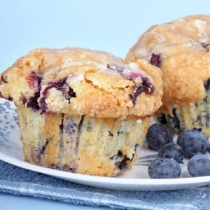 Blueberry-Muffin-e-Liquid-Cloud-Chemistry