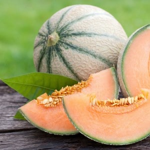 Cantaloupe-Fruit-e-Liquid-Cloud-Chemistry