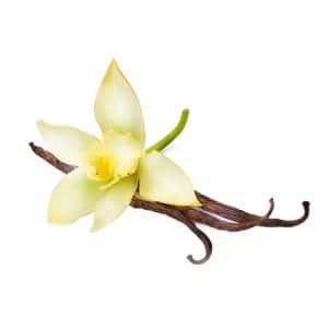Classic-Vanilla-e-Liquid-Cloud-Chemistry