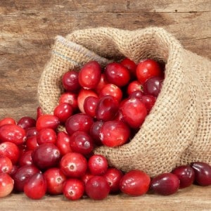 Cranberry-Fruit-e-Liquid-Cloud-Chemistry