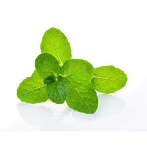 Peppermint-e-Liquid-Cloud-Chemistry