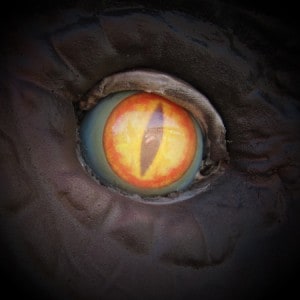 Dragon-Gaze-e-Liquid-Cloud-Chemistry